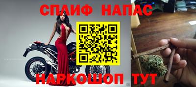 твердый Будённовск